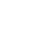 Vector
